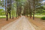 1975 Welsh Hills Road - Photo 56