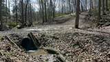 0 Swamp Road - Photo 9