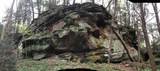 25779 Bailey Road - Photo 14