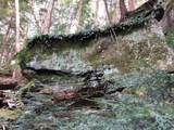 25779 Bailey Road - Photo 18