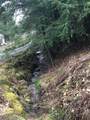 25779 Bailey Road - Photo 20