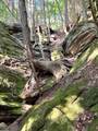 25779 Bailey Road - Photo 26