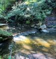 175 Canyon Drive - Photo 48