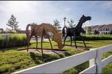 5793-6 Stallion Drive - Photo 44