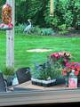 4063 Brookrun Drive - Photo 5