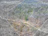 58393 North Branch Road - Photo 5