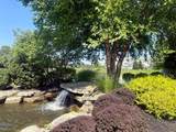 5182 Horseshoe Falls Drive - Photo 61