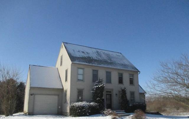 5227 Hall Road, Centerburg, OH 43011 (MLS #221002925) :: Sam Miller Team