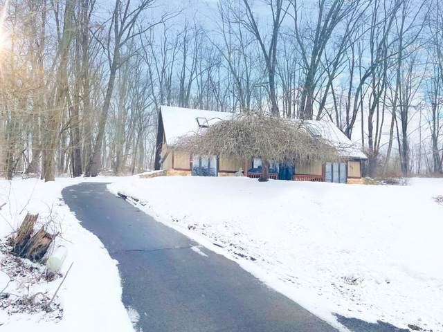 266 Crabapple Drive, Howard, OH 43028 (MLS #221004727) :: Sam Miller Team