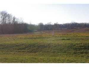 8000 Columbus Lancaster Road - Photo 1