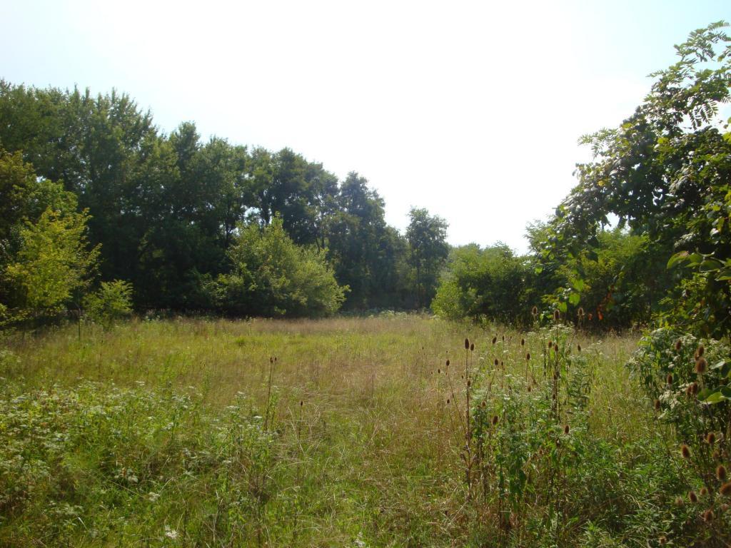 1175 Hollar Lane - Photo 1