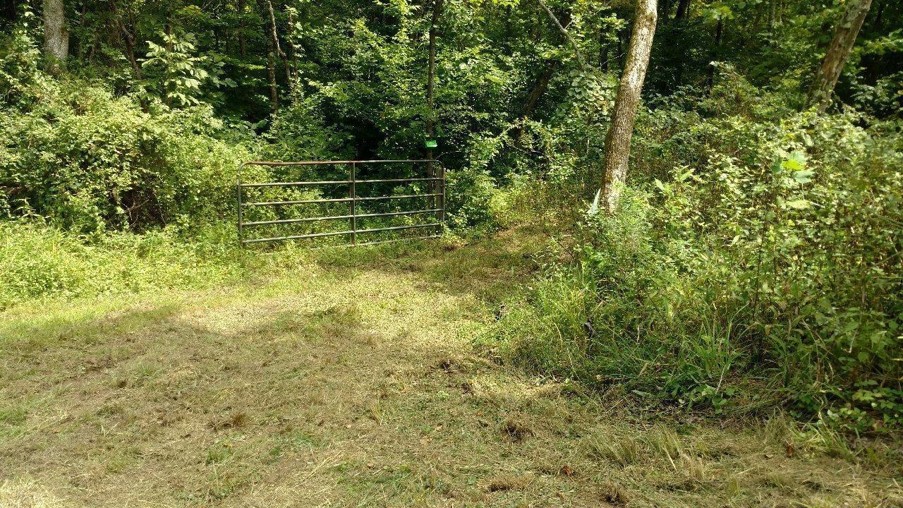 0 State Road 329 - Photo 1
