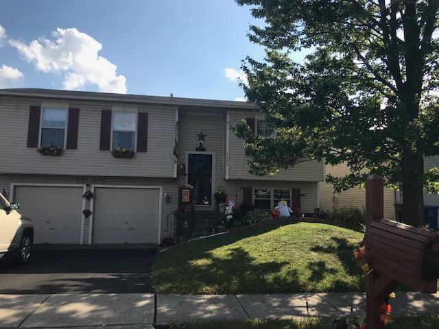 5665 Idella Drive - Photo 1