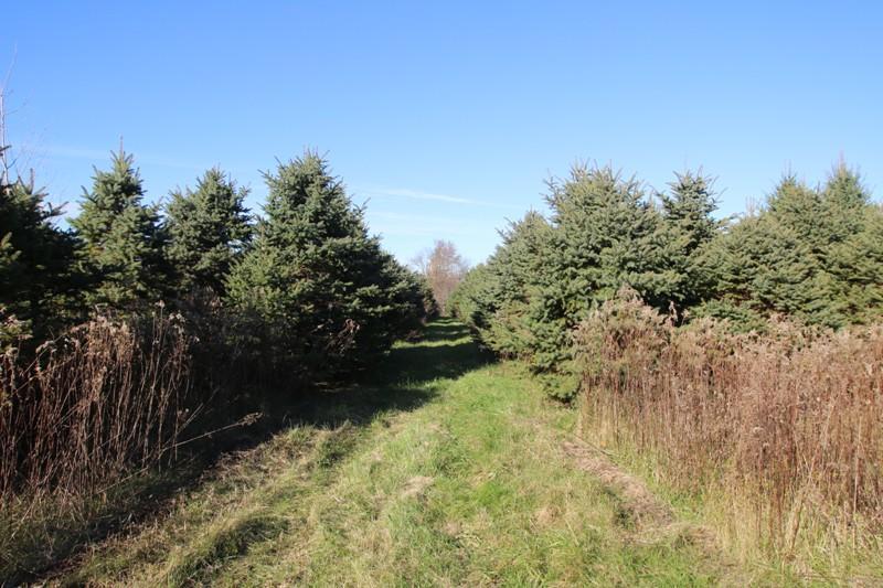 0000000 St Rt 3 Highway - Photo 1