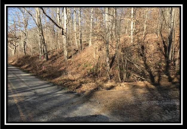 265 Horton Sisters Road - Photo 1