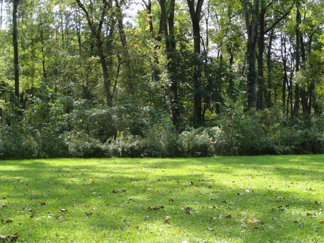 0 Chester Estates Drive - Photo 1