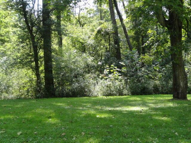 0 Chester Estates Drive - Photo 1