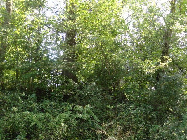 0 Quarry Court - Photo 1