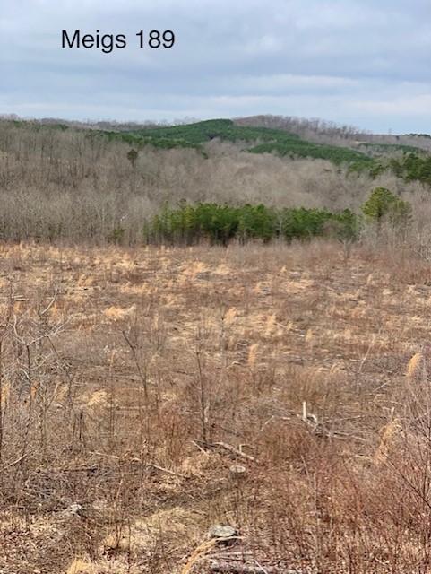 0 Edmundson Road - Photo 1