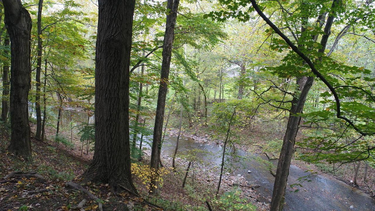 0 Clear Creek Way - Photo 1