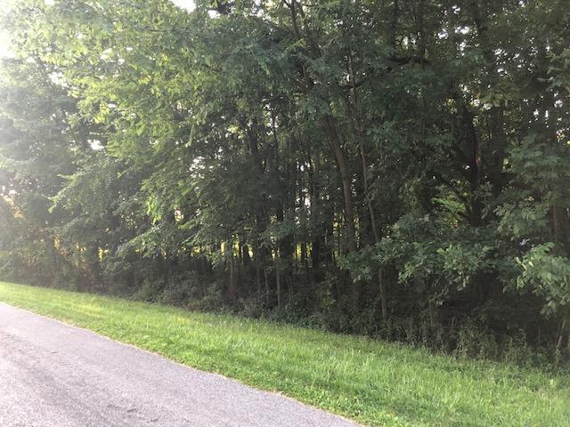 7326 State Route 19 - Photo 1
