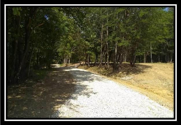 7304 Township Road 331 - Photo 1