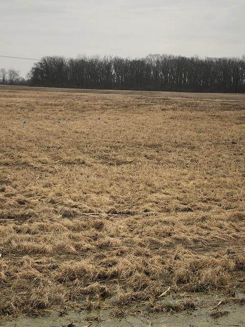 0 Opossum Run Road - Photo 1