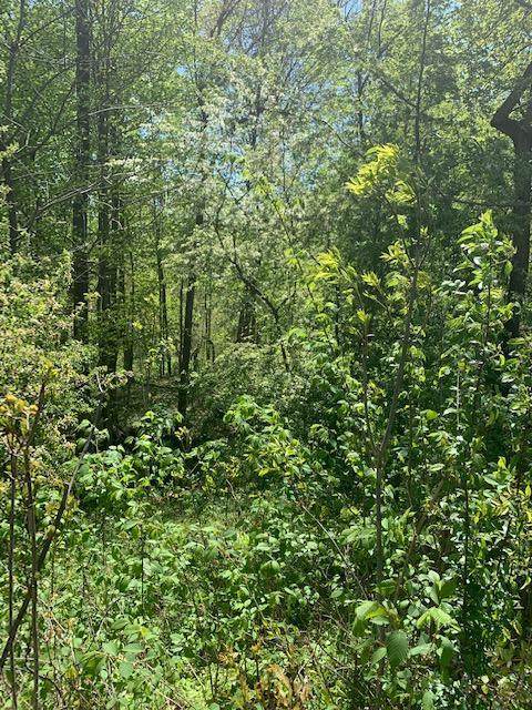 151 Quailrun Road - Photo 1