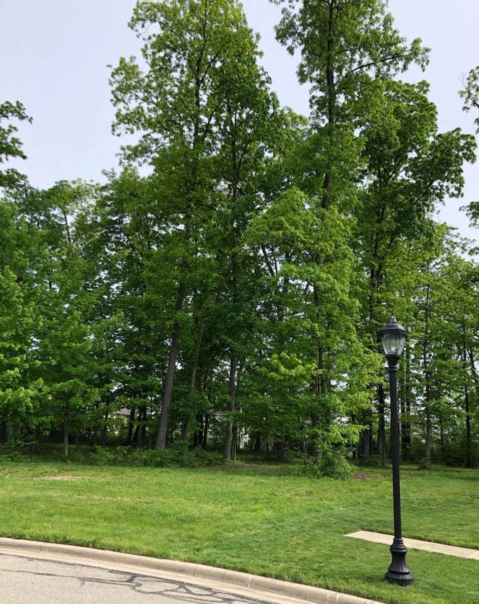 10056 Morris Drive - Photo 1