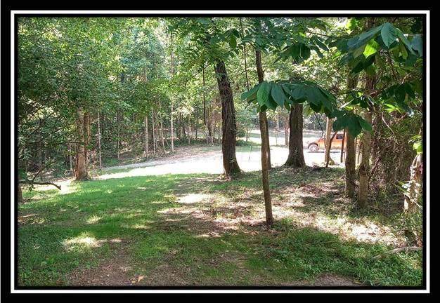 3160 Alice Road - Photo 1