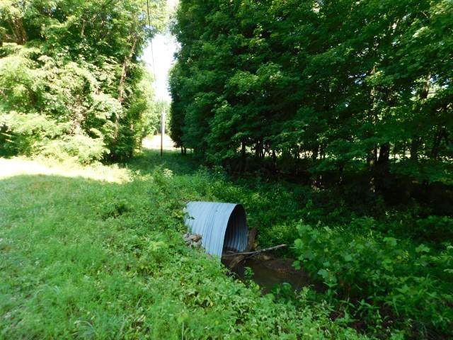 20022 Feathers Road - Photo 1