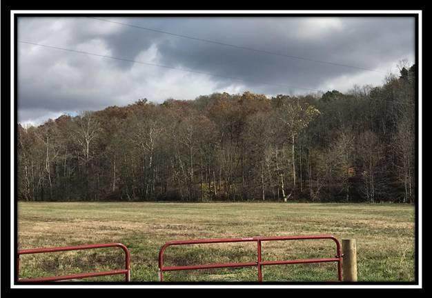 0 Flat Run Rd - Photo 1