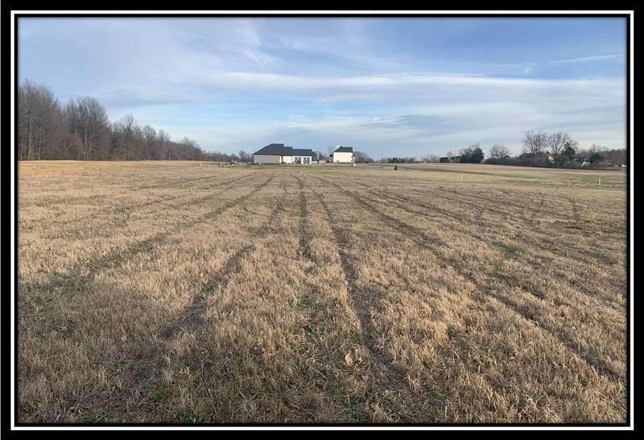 0 Hogback Road - Photo 1