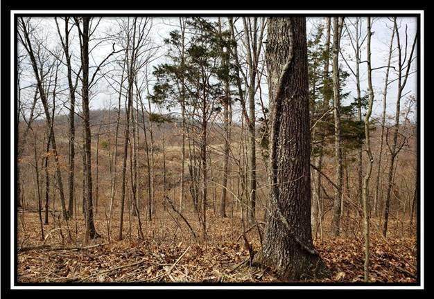 0 Edmundson Road - Photo 1