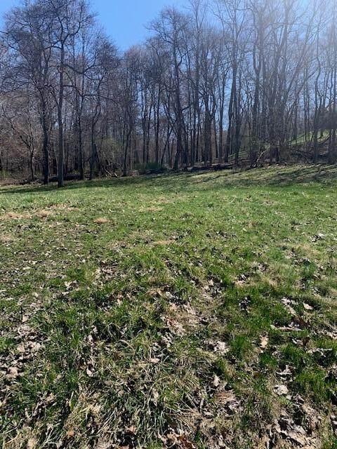 0 Welsh Hills Road - Photo 1