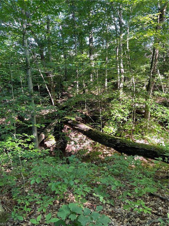 10290 Greer Road - Photo 1