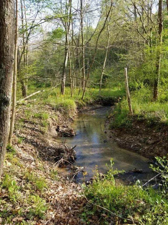 0 Maysville-Williams Road - Photo 1