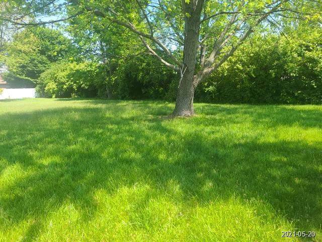 0 Warren Avenue - Photo 1