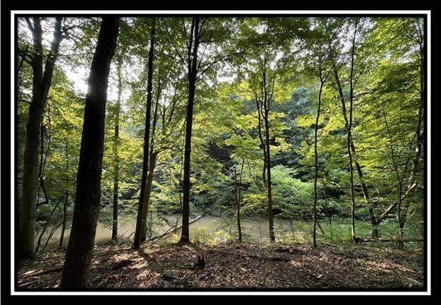 10775 Township Road 402 - Photo 1