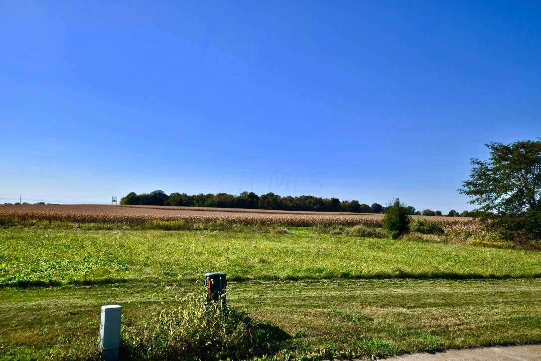 4389 Buckeye Run - Photo 1