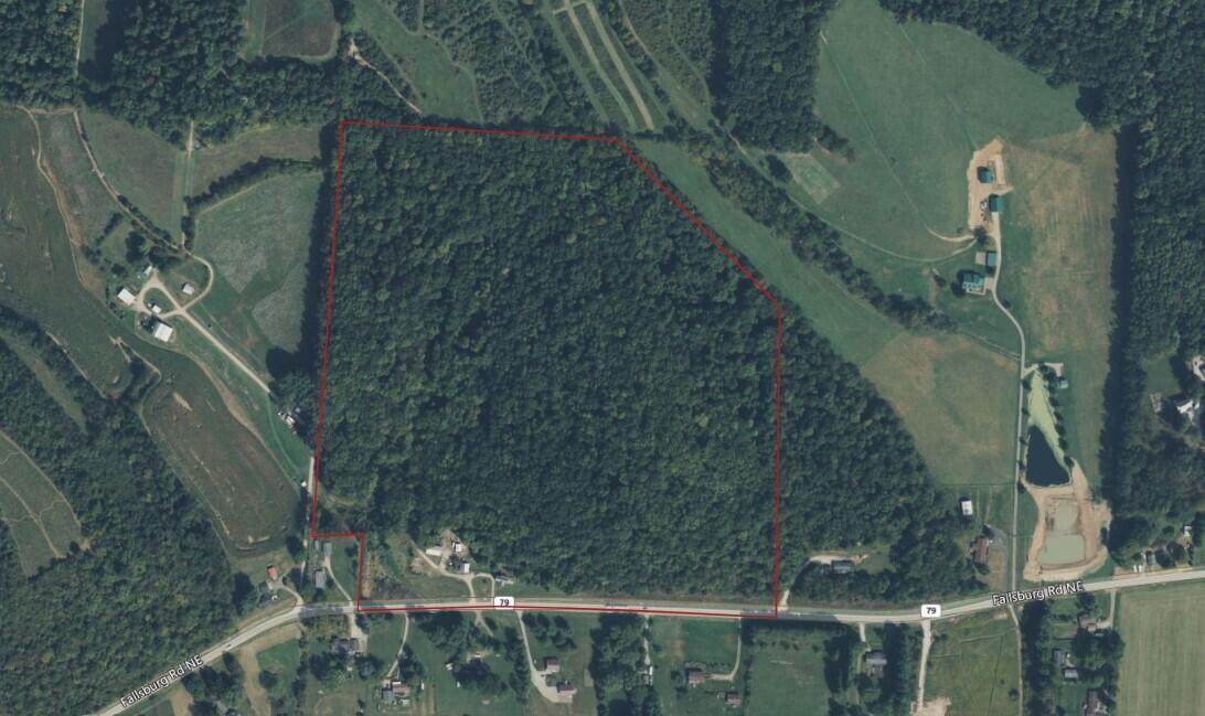 6373 Fallsburg Road - Photo 1