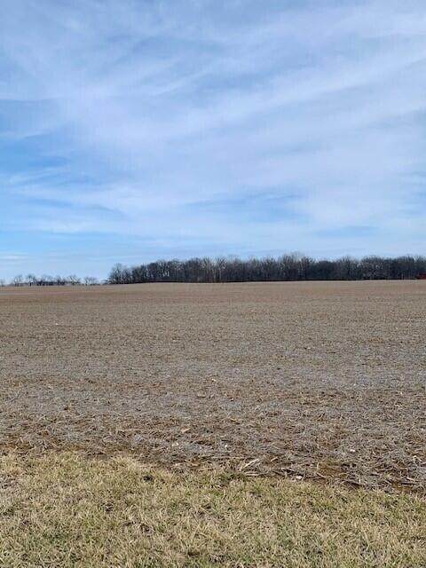 Lot 6 Gay-Dreisbach Road - Photo 1