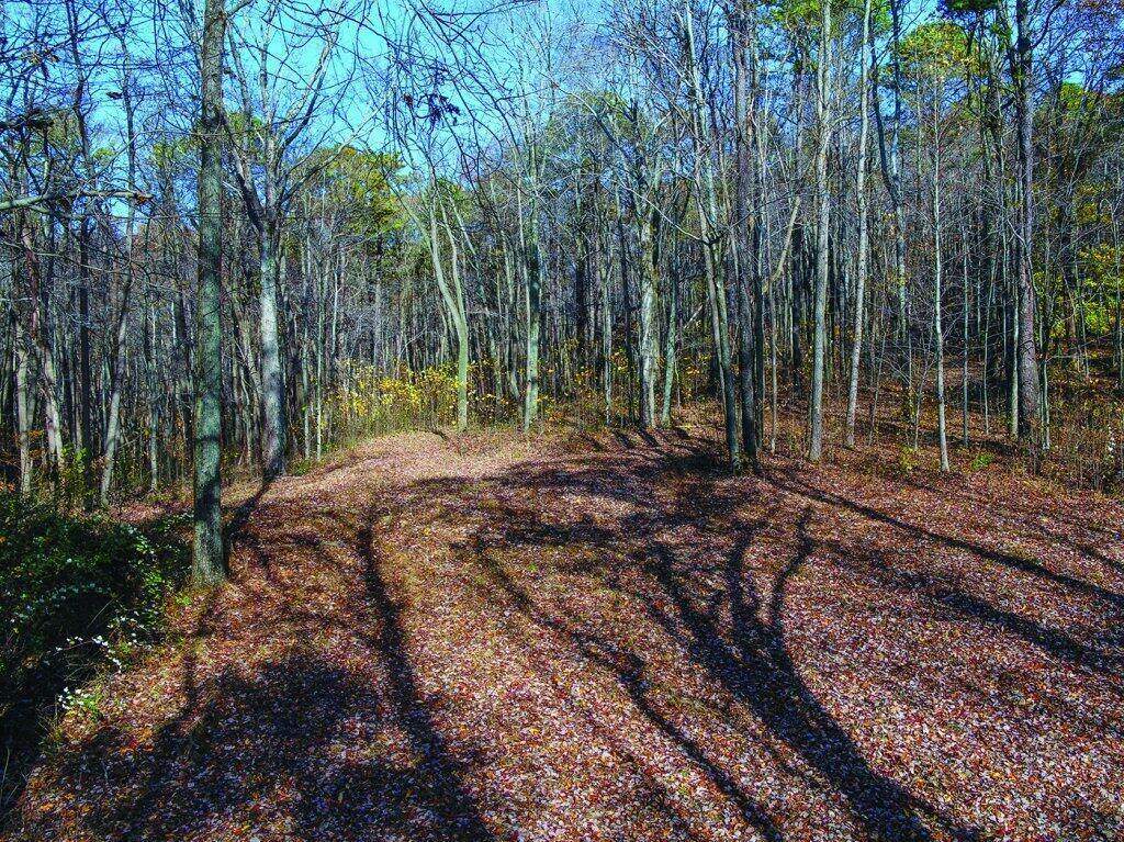 0 Snortin Ridge Road - Photo 1