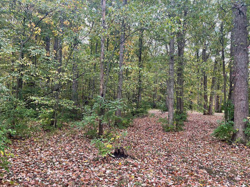 403 Section Line Road - Photo 1