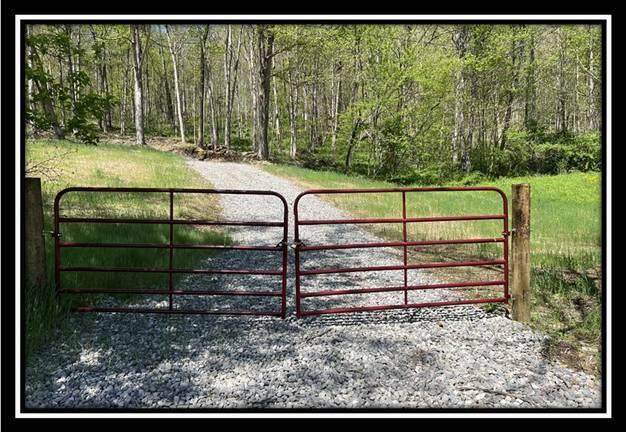 412 Sunfish Creek Road - Photo 1