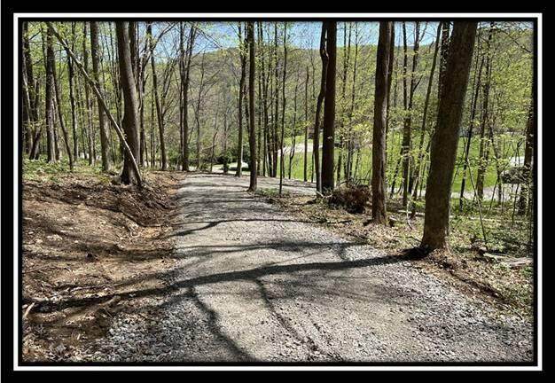 528 Sunfish Creek Road - Photo 1
