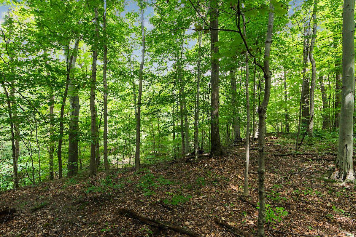 267 Green Hollow Drive - Photo 1