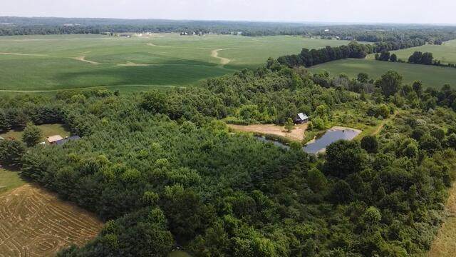 6172 Simmons Church Road - Photo 1