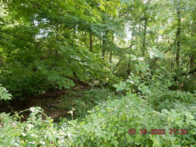 0 Apple Grove Court - Photo 1