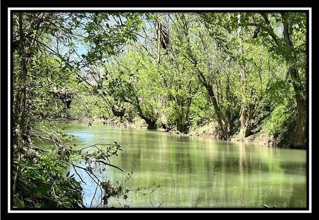 331 Sunfish Creek Road - Photo 1